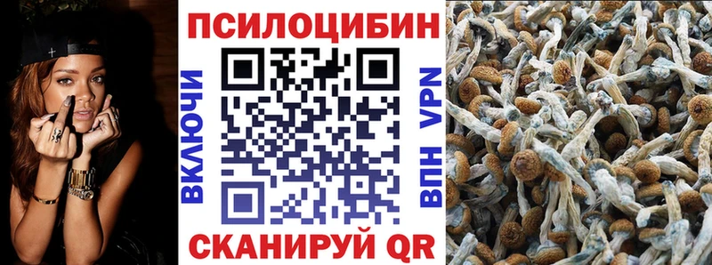 Псилоцибиновые грибы мицелий  наркотики  Астрахань 